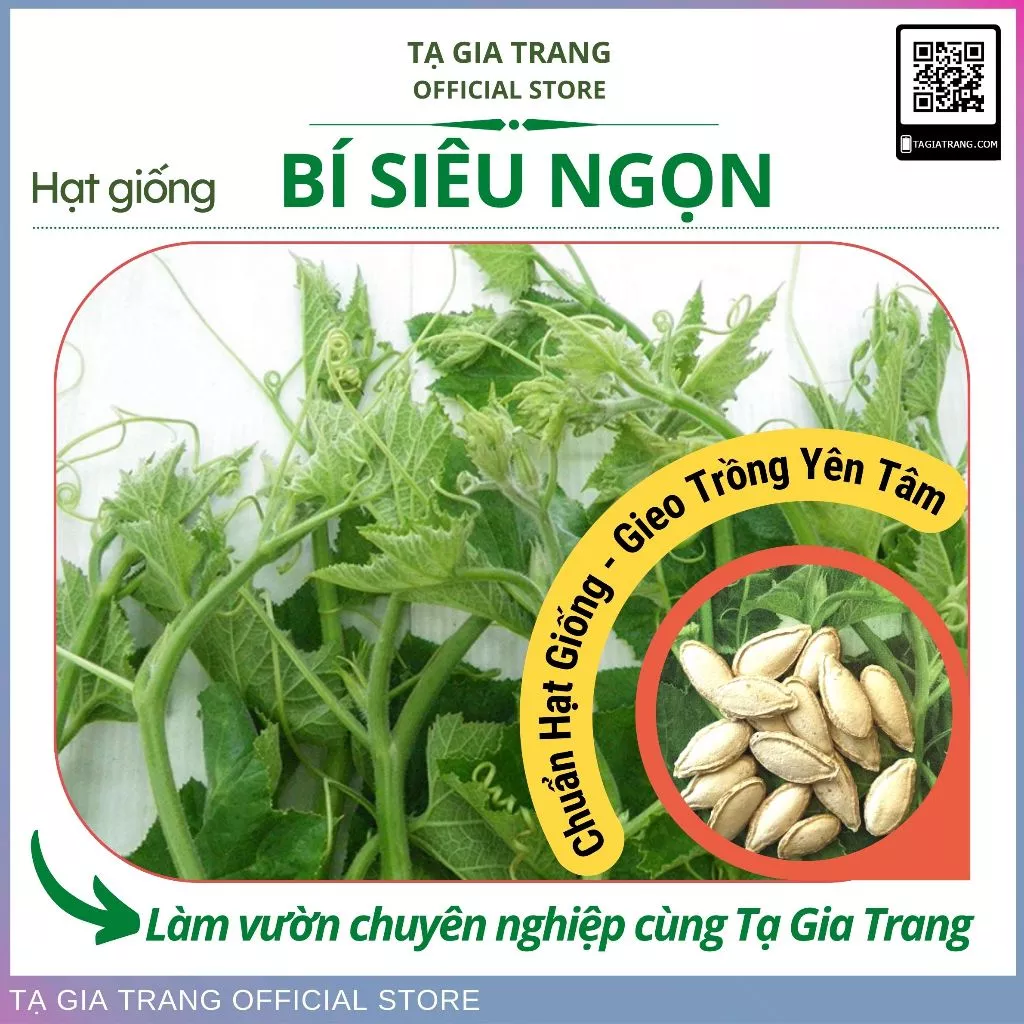 Hạt giống bí siêu ngọn năng suất cao - Shop hạt giống Tạ Gia Trang