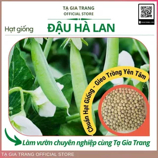 Hạt giống đậu Hà Lan dễ trồng cho năng suất cao, tốt cho sức khỏe