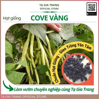 Hạt giống đậu cove vàng (đậu cô bơ)