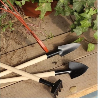 Bộ dụng cụ làm vườn mini 3 món tiện dụng nhỏ gọn dễ dùng trồng hoa, cây cảnh, rau củ quả sạch