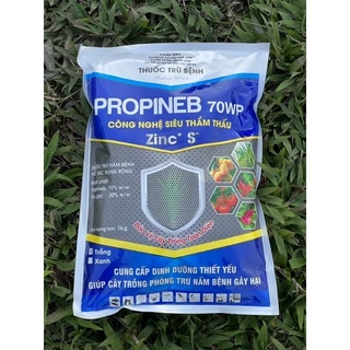 THUỐC TRỪ BỆNH PROPINEB 70WP 1KG BỘT TRẮNG (ÁO GIÁP KẼM ANTRACOL) ( Propineb 70% + phụ gia 30% )