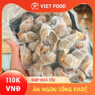 ( Hỏa Tốc HN ) 1KG ỐC HƯƠNG QUẾ SIZE TO ĐỀU LOẠI 1