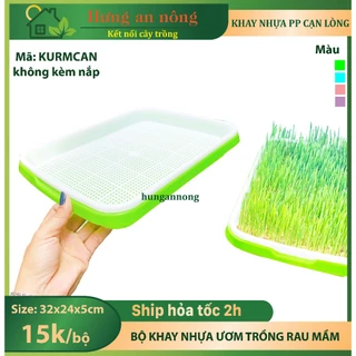 KURMCAN - khay nhựa PP chuyên trồng các loại rau mầm không có nắp size 32x24x5cm