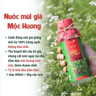 Nước mùi già tài lộc, lau bàn thờ, đồ phong thủy, trang sức gia tăng vận khí, may mắn, thịnh vượng, spa quê một cục33oml