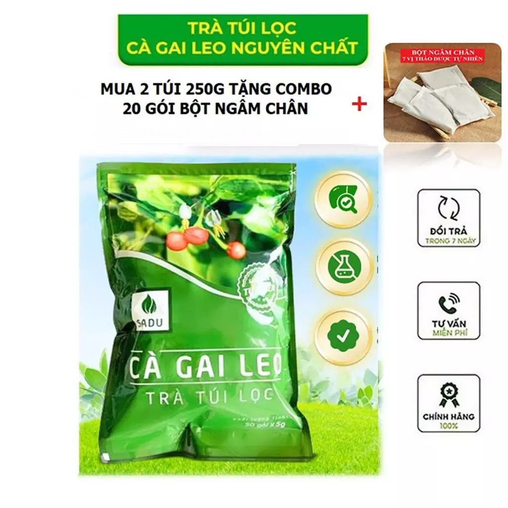 Trà Cà Gai Leo Túi Lọc Sadu Bịch 250g Giải Độc, Mát Gan, Tăng Cường Chức Năng Gan