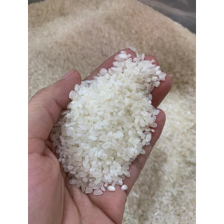 Túi 1Kg Gạo Dẻo 64 (Dẻo Vừa)