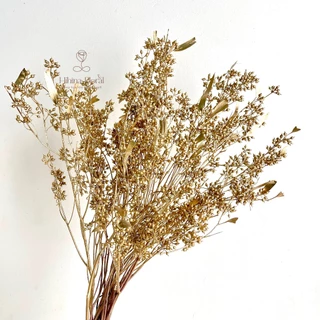 Hoa khô trang trí quả bạch đàn khô màu đồng decor