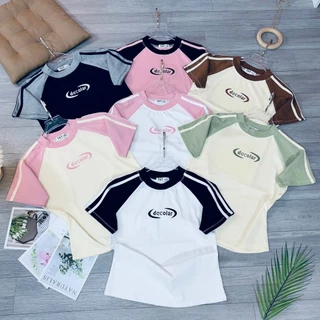 Áo Baby Tee Raplang Decolar Borip Co Dãn 4 Chiều - Dư Tú Lệ Shop