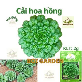 Hạt Giống Cải Hoa Hồng  (170)