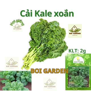 Hạt giống Cải xoăn KALE (167)