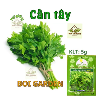 Hạt giống rau CẦN  TÂY (105)