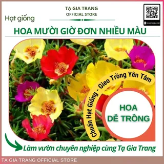 Hạt giống hoa mười giờ đơn mix