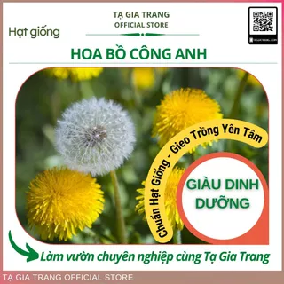 Hạt giống hoa Bồ công anh