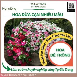 Hạt giống hoa dừa cạn các loại, đẹp, dễ trồng