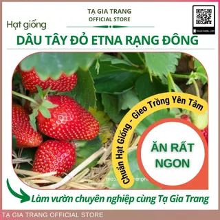 Hạt giống Dâu tây đỏ cao cấp Etna (dâu tây Rạng Đông)