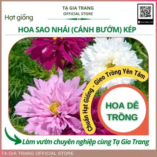 Hạt giống hoa sao nhái kép