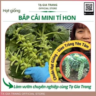 Hạt giống bắp cải mini (bắp cải tí hon) xanh