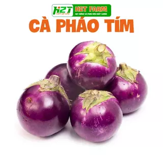 Hạt giống Cà Pháo Tím nảy mầm tốt, sai trái, trồng quanh năm ̣(gói 0,5 gr) - Hạt giống Rạng Đông - h2t farm