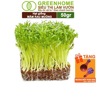 Hạt Giống Mầm Rau Muống Greenhome, Gói 50g, Dễ Trồng, Nảy Mầm Cao, Thu Hoạch Nhanh, Năng Suất R14