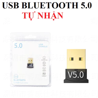 USB Bluetooth Dongle 5.0 giúp máy tính bàn, máy tính cây, Laptop thu phát sóng bluetooth - HD88 - A001