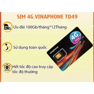 Sim 4G Vinaphone trọn gói 12 tháng  TD49 100GB /1 Tháng Data free