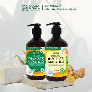 Dầu gội thảo dược gừng dừa Cocayhoala - giảm rụng tóc giúp tóc mềm mượt dung tích 440ml - Mít Natural