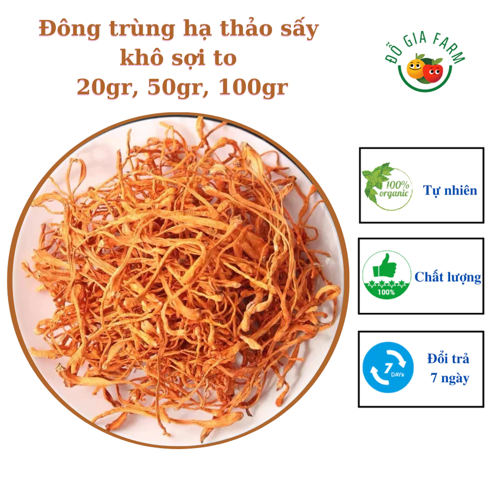 Đông trùng hạ thảo sấy khô sợi to ngon loại thượng hạng bồi bổ cơ thể - gói 20gr, 50gr, 100gr