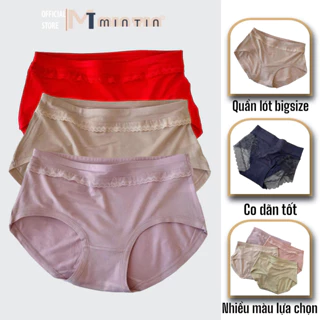 Quần Lót Nữ chất Cotton Kháng Khuẩn chống viên nhiễm, thoáng mát - NH08 [MinTin]