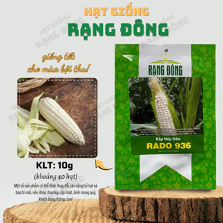 Hạt giống Bắp Nếp Dẻo Rado 936 (10g~40 hạt) dễ trồng, trái thơm, ngọt, hạt chắc, dẻo - Hạt giống Rạng Đông