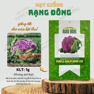 Hạt giống Bông Cải Tím (Lơ Tím) Purple Cauliflower 228 (1g~300 hạt) giàu dinh dưỡng - Hạt giống Rạng Đông