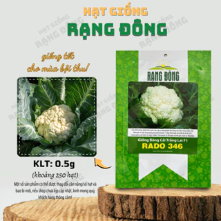 Hạt giống Bông Cải Trắng Lai F1 Rado 346 (0,5g~250 hạt) cây phát triển mạnh, trồng quanh năm - Hạt giống Rạng Đông