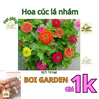 [Deal 1k] Hạt giống hoa CÚC LÁ NHÁM mix màu (230)