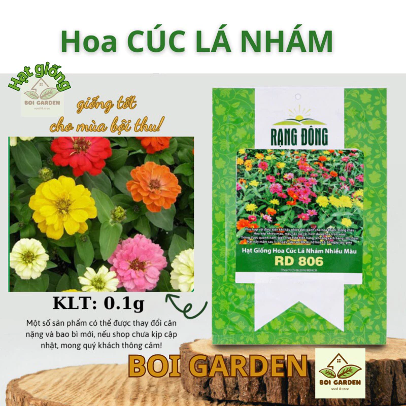 Hạt giống hoa CÚC LÁ NHÁM nhiều màu (132)