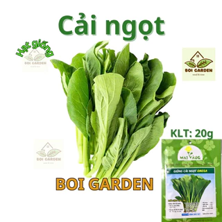 Hạt giống rau CẢI NGỌT (150)