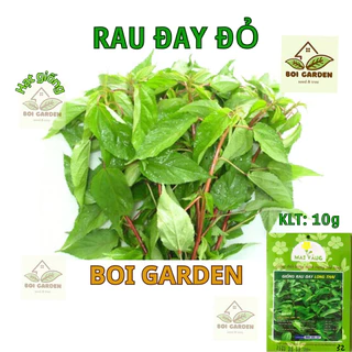 Hạt giống Rau Đay đỏ (161)