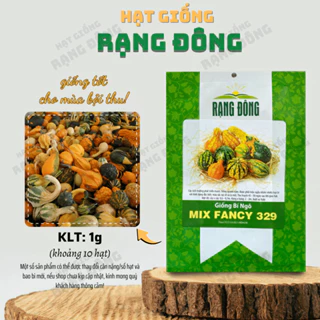 Hạt giống Bí Ngô Mix Fancy 329 (1g~10 hạt) trồng quanh năm, nhiều loại, nhiều màu mix trộn - Hạt giống Rạng Đông