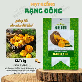 Hạt giống Bí Đĩa Bay Vàng Rado 168 (1g~10 hạt) thịt dày, trồng quanh năm, dễ chăm sóc - Hạt giống Rạng Đông