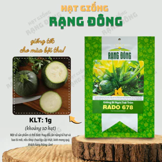 Hạt giống Bí Ngòi Trái Tròn Rado 678 (1g~10 hạt) sinh trưởng khỏe, năng suất cao, dễ chăm sóc - Hạt giống Rạng Đông