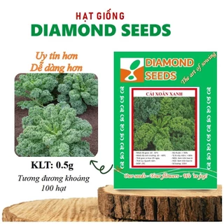 Hạt giống cải xoăn xanh ( cải kale xanh ) Hạt giống Cải Xoăn Kale kháng bệnh tốt, giàu dinh dưỡng
