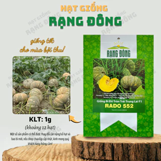 Hạt giống Bí Tròn Trái Trung Lai F1 Rado 552 (1g~12 hạt) trái to 1.5-1.8 kg, trồng quanh năm - Hạt giống Rạng Đông