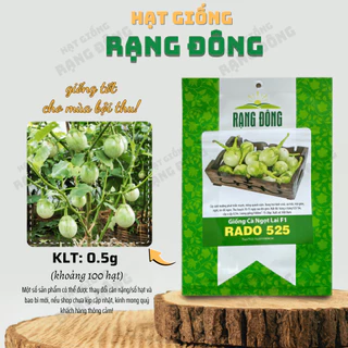 Hạt giống Cà Ngọt Lai F1 Rado 525 (0,5g~100 hạt) trái sai, dễ trồng, cây kháng bệnh tốt, quanh năm - Hạt giống Rạng Đông