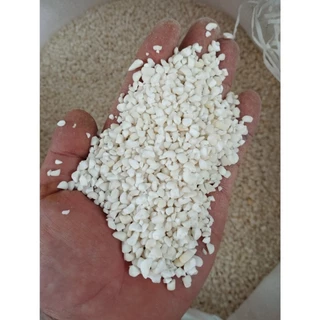 [Loại 1] 1Kg Bắp Nếp Hạt Bể Khô Làm Xôi Bắp , bắp hầm, bắp giã,  sữa bắp nếp, chè bắp nếp Thơm Ngon 🌽 Nongsangiasi.com