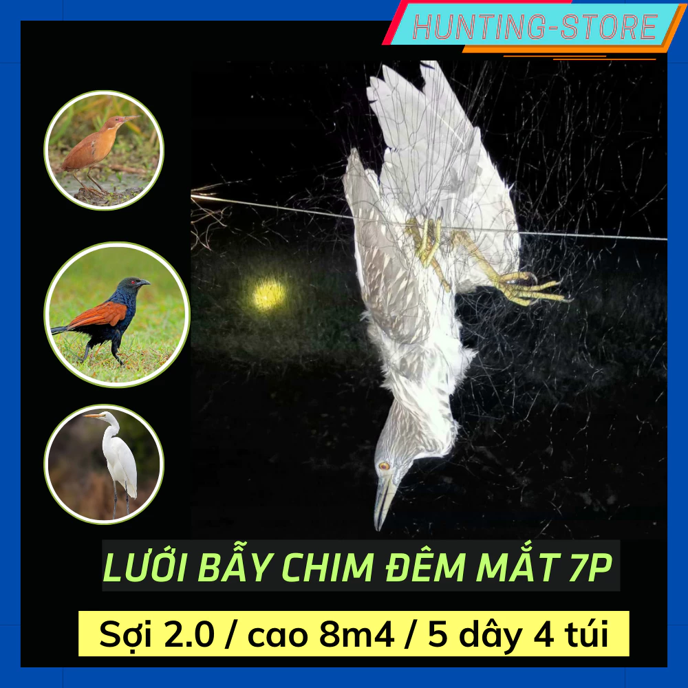 Lưới chim đêm mắt 7 phân bẫy quốc cò gà đồng  cao 8m4  5 dây 4 túi  sợi lưới 2.0 chắc chắn