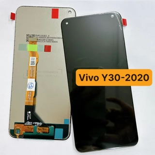 Màn hình Vivo Y30 / Y30 - 2020 (Zin) đen