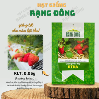 Hạt giống Dâu Tây Etna (0,05g~80 hạt) trái đỏ, to, chịu nhiệt tốt, sinh trưởng khỏe, ít sâu bệnh - Hạt giống Rạng Đông