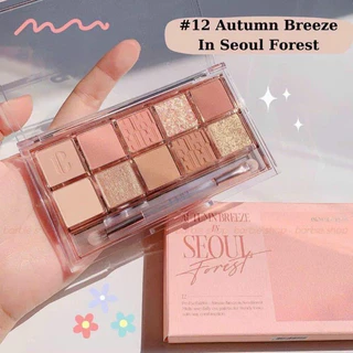 Bảng phấn mắt CLIO PRO EYE PALETTE 12 Autumn Breeze In Seoul Forest