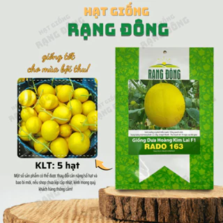 Hạt giống Dưa Hoàng Kim F1 Rado 163 (5 hạt) trái to, ngọt, thơm, ít sâu bệnh, trồng quanh năm - Hạt giống Rạng Đông