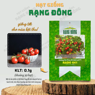 Hạt giống Cà Chua Bi Lùn Lai F1 Rado 641 (0,1g~30 hạt) trồng chậu, quanh năm, dễ chăm sóc - Hạt giống Rạng Đông