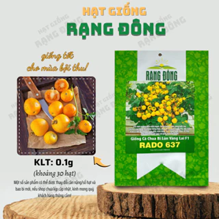 Hạt giống Cà Chua Bi Lùn Vàng Rado 637 (0,1g~30 hạt) quanh năm, trái sai, thích hợp trồng chậu - Hạt giống Rạng Đông