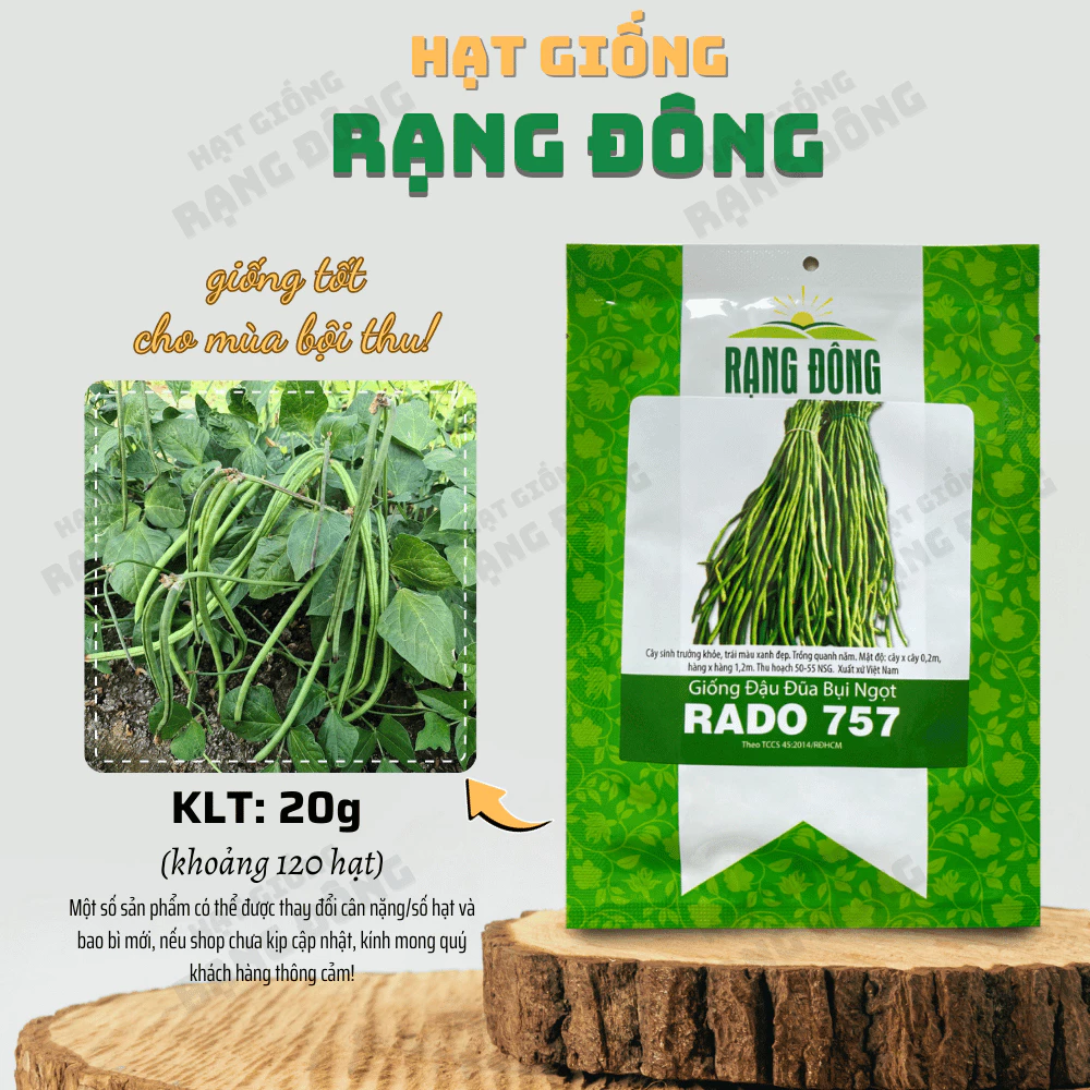 Hạt giống Đậu Đũa Ngọt Lùn Rado 757 (20g~120 hạt) trồng quanh năm, nảy mầm tốt, sinh trưởng khỏe - Hạt giống Rạng Đông